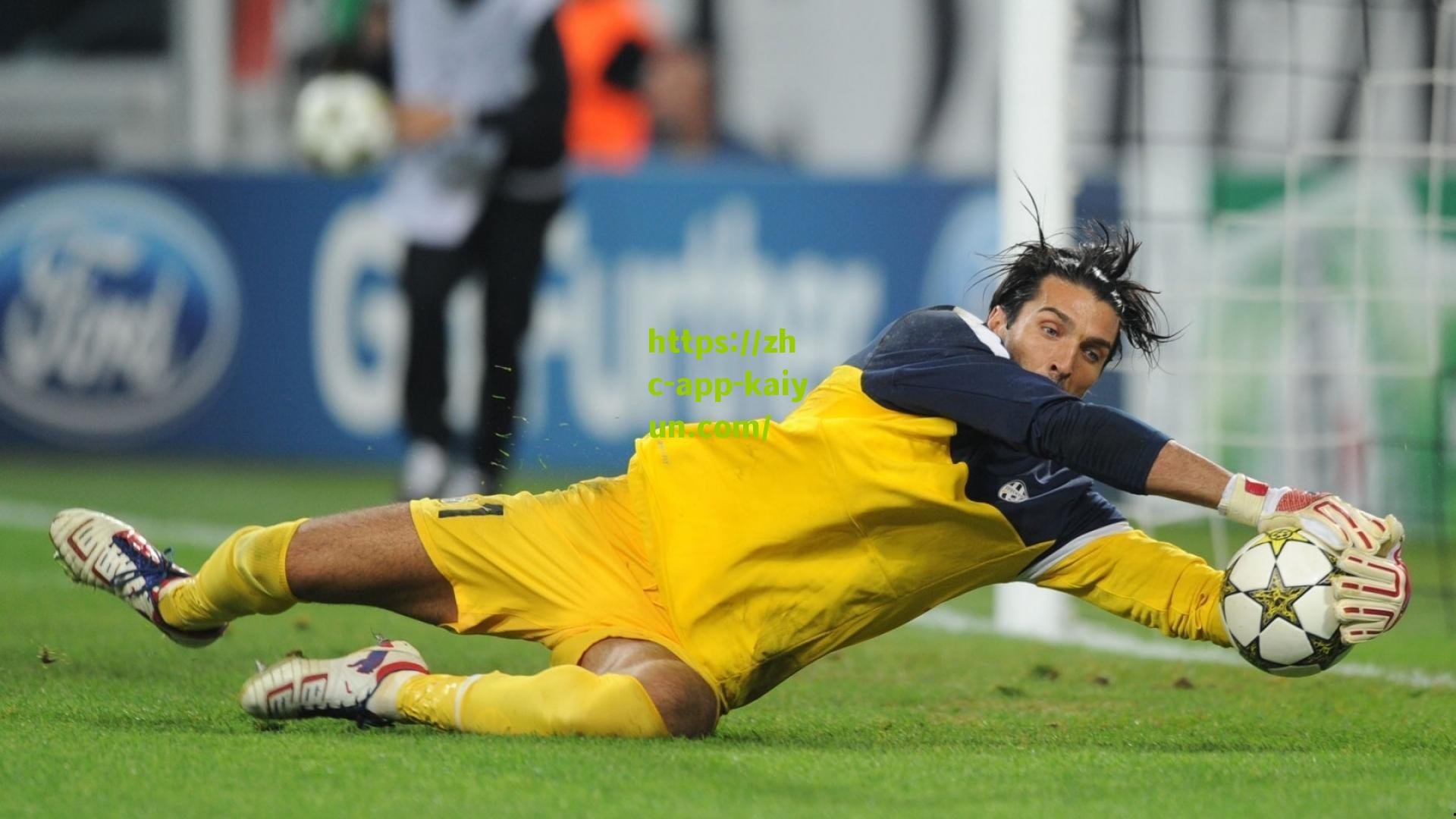 开云官网：打磨三分！马刺小将索汉菲尼克斯苦练 欧洲杯前投射升级引期待